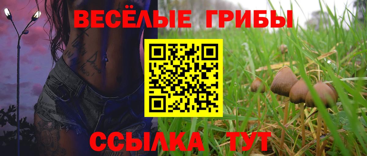 Галлюциногенные грибы Cubensis  Вход с VPN  Котельники 